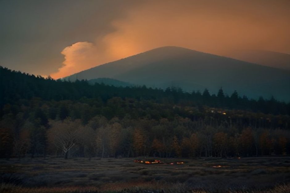 Incendie de forêt en progression, flames oranges et fumée noire s'élevant au-dessus des arbres