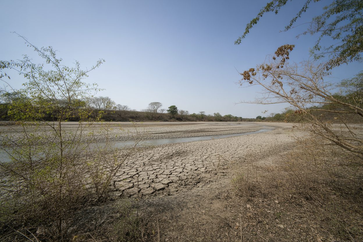 Haute-Saône : crise sécheresse maximale, arrosage et lavage de voitures interdits Lit asséché d'une rivière aux terres fissurées par la sécheresse, sous un ciel dégagé