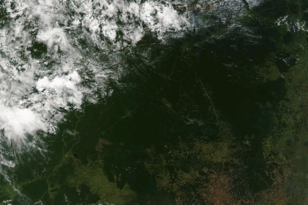 3 millions d’hectares étudiés : en Amazonie, sauver les forêts debout protège mieux que les restaurer La protection des forêts amazoniennes existantes apparaît prioritaire pour préserver les espèces et le carbone