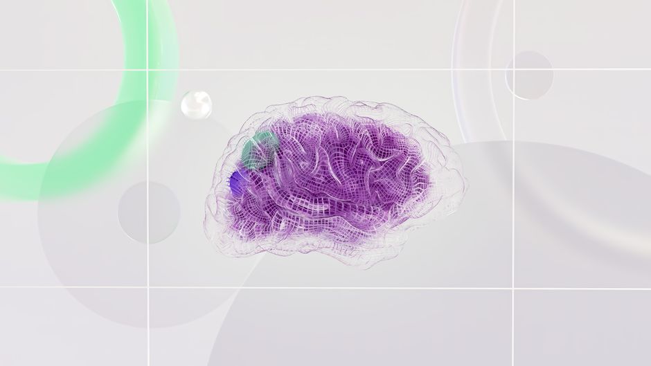 Visualisation numérique d'un cerveau avec des couleurs vives et des structures en trois dimensions.