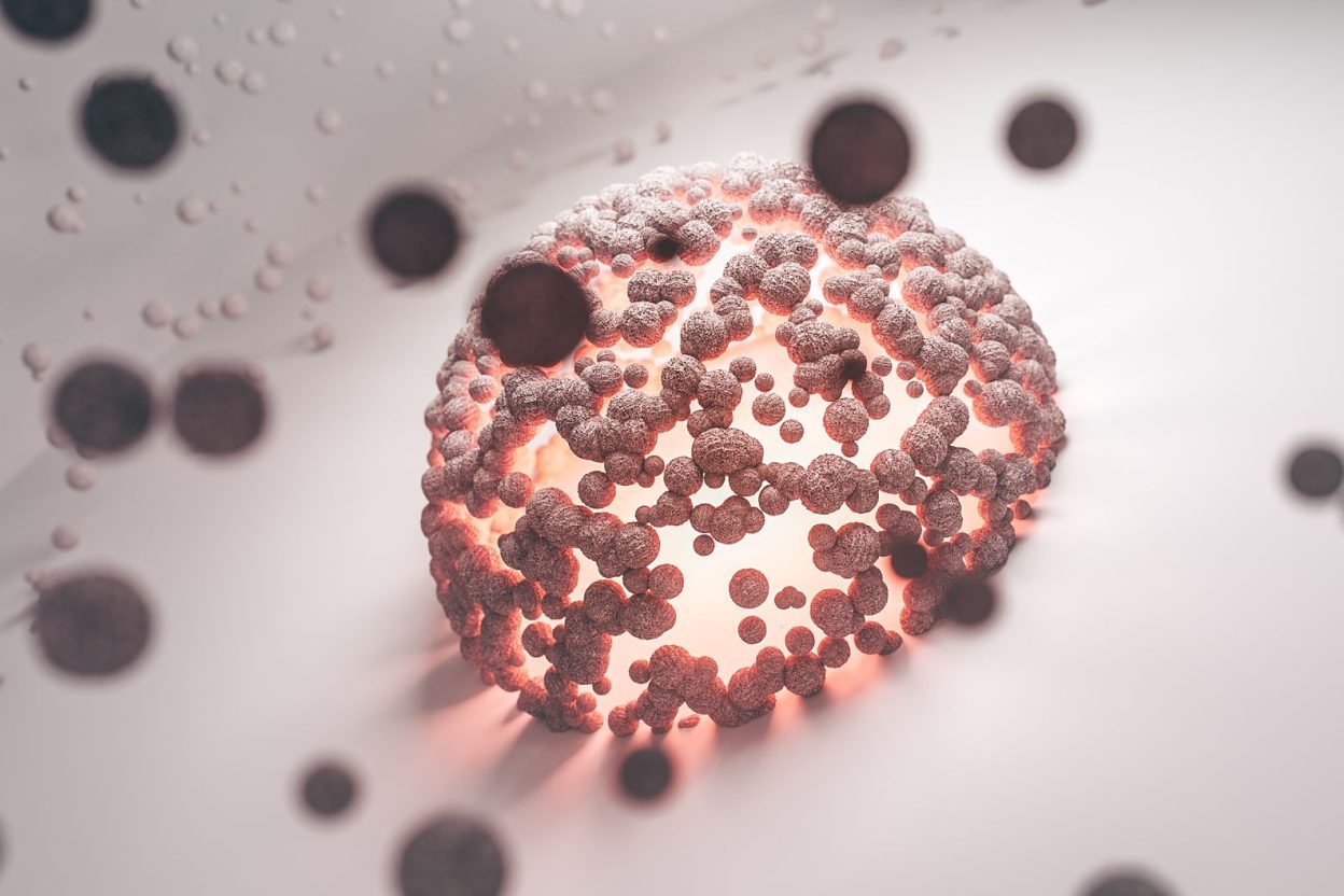 Cancer : un « interrupteur » moléculaire révèle comment une cellule stressée choisit entre survie et autodestruction Le mécanisme étudié implique les protéines DNAJB12 et DNAJB14 dans la réponse des cellules au stress