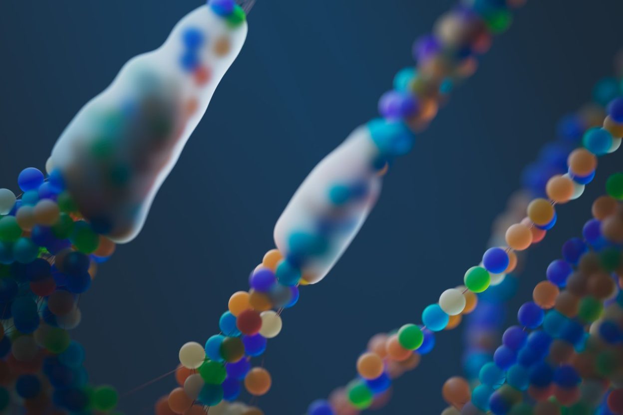 Des bactéries Pandoraea peuvent modifier un peptide afin d’en changer la fonction