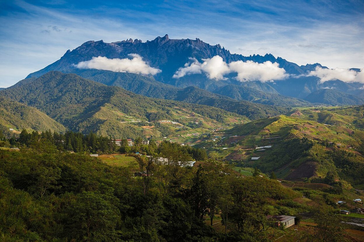 En Papouasie, les derniers glaciers tropicaux ont perdu plus de 99 % de leur surface depuis 1850 Les derniers glaciers tropicaux du Puncak Jaya, en Papouasie indonésienne, photographiés lors d'une mission de suivi