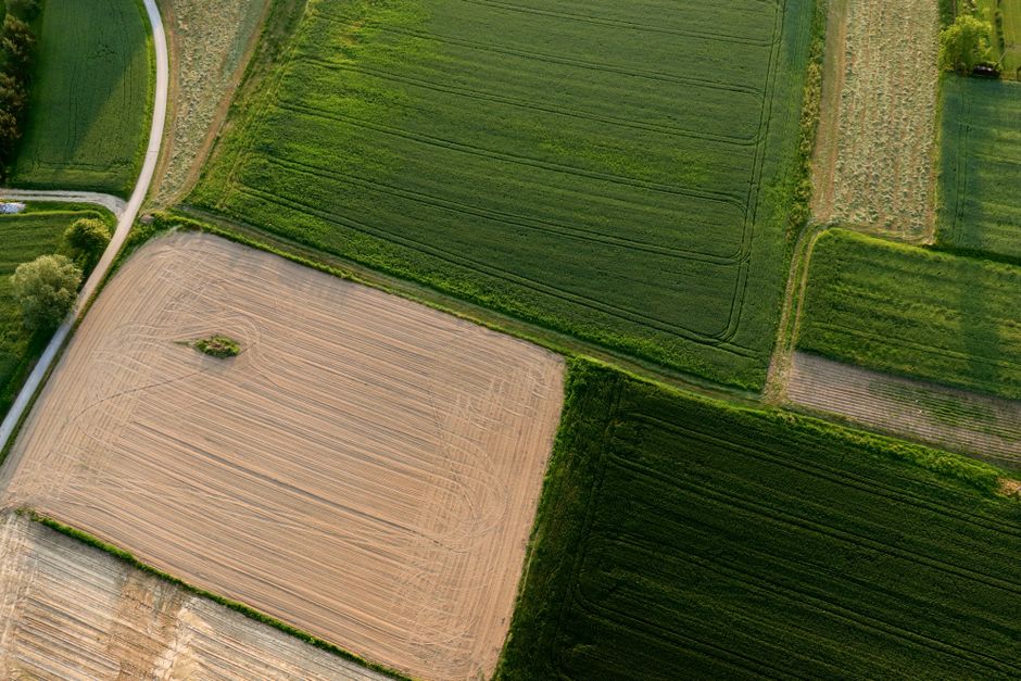 Vue aérienne de champs agricoles aux cultures diversifiées et fragmentées