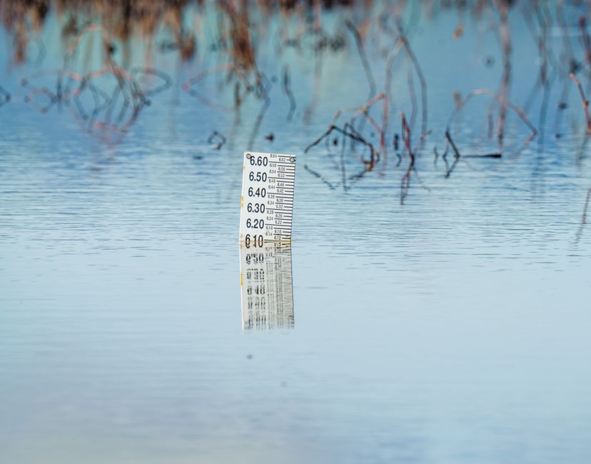 Jauge de crue immergée dans l'eau en période de monitorage