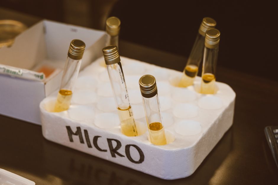 Des éprouvettes de laboratoire contenant des échantillons dans un plateau de mousse.