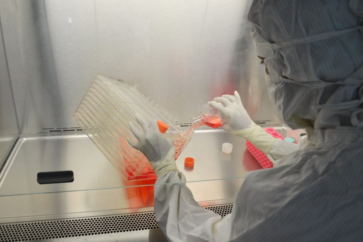 Leucémie aiguë : une greffe modifiée par CRISPR protège les cellules saines, mais reste expérimentale en France Des cellules souches modifiées par CRISPR ont été testées avant une greffe chez des patients atteints de cancers du sang