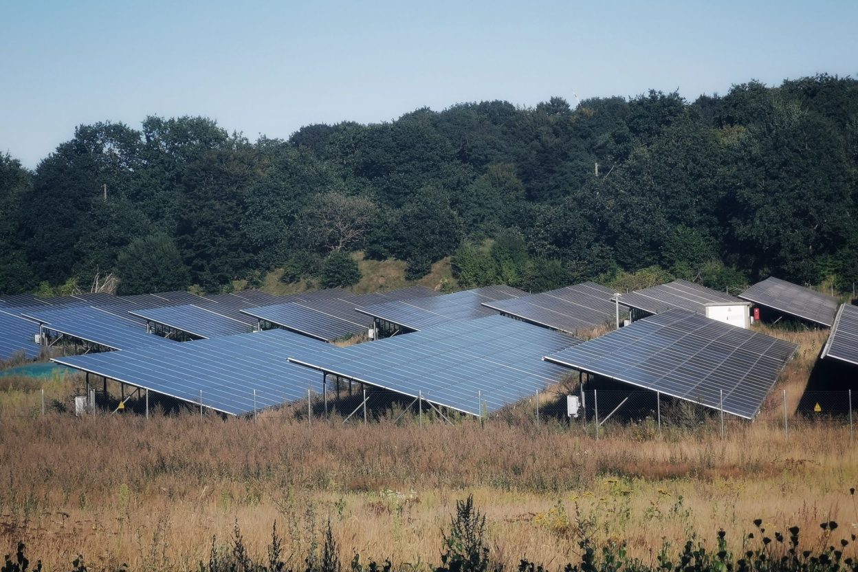 Panneaux solaires et végétation : ce que les microclimats observés sous les modules changent en France Sous les panneaux photovoltaïques, l’ombre et la disposition des modules créent des microclimats qui influencent la végétation