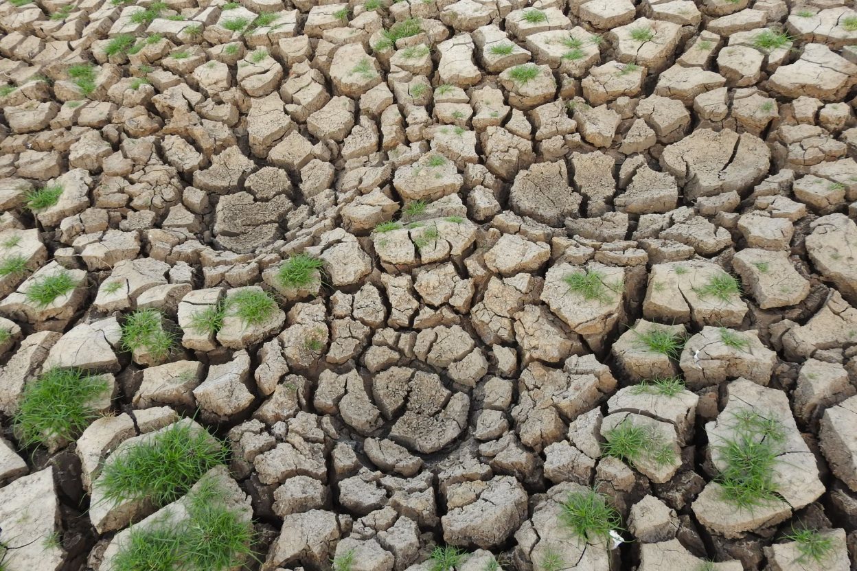 Super El Niño 2026 : faut-il constituer des réserves de nourriture en France avant l’hiver ? Le phénomène El Niño 2026 devrait compter parmi les épisodes les plus intenses observés depuis 1950
