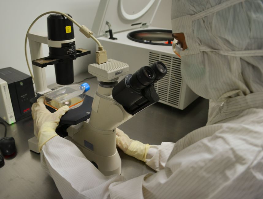 Chercheur observant un échantillon au microscope en laboratoire