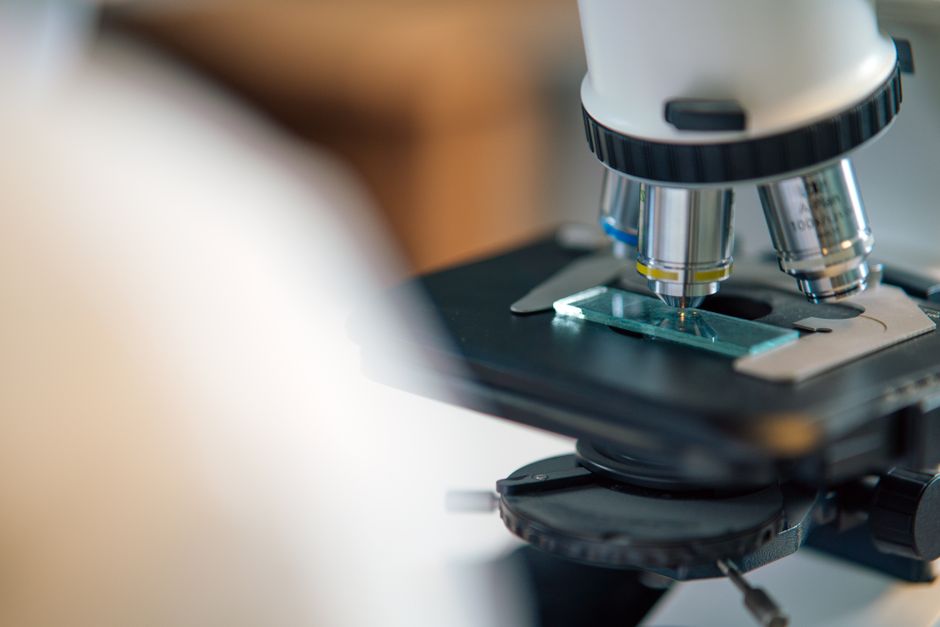 Vue rapprochée d'une lame de microscope pour l'observation biologique.