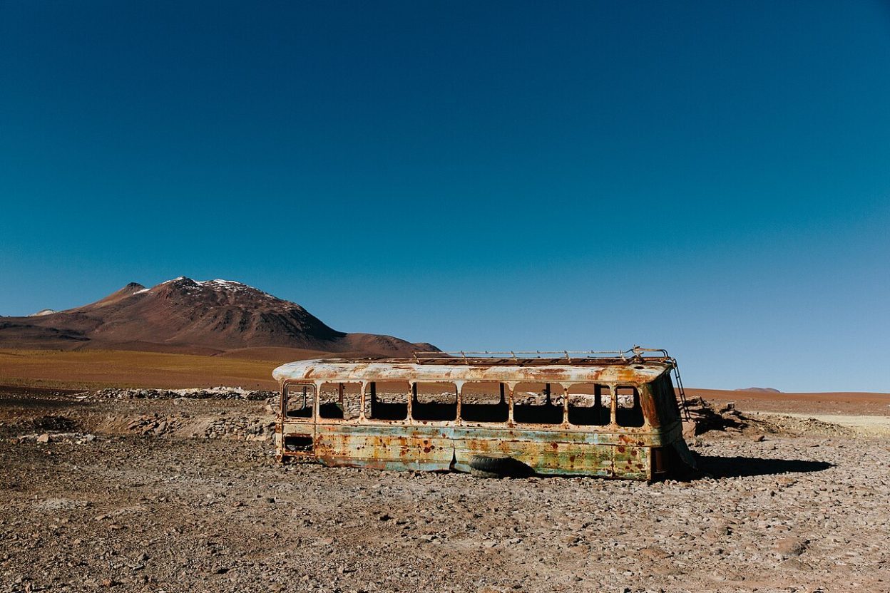 Désert d’Atacama en fleurs en 2026 : ce que les voyageurs français doivent savoir avant de partir au Chili La floraison exceptionnelle du désert d’Atacama au Chili au printemps 2026